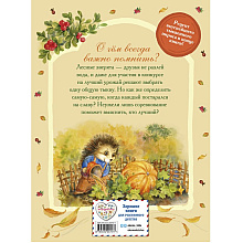 Книга "Верхом на тыкве на конкурс урожая", Вероника Медведева