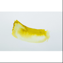 Чернила акварельные "Herbin. Eclats", шартрез, 50 мл