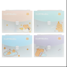 Папка-портфель "Capybara", ассорти