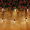 Гирлянда уличная "Лампа", 3 м, 20 LED, тепло белый, солнечная батарея - 6