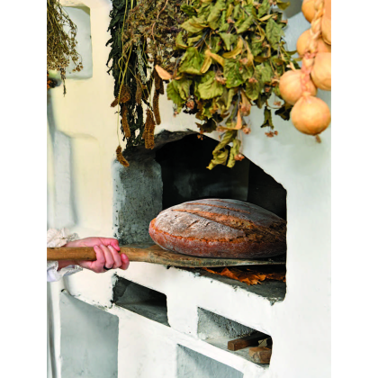 Книга "Беларуская кухня. Белорусская кухня. Belarusian Cuisine", А.П. Вашчанка  - 3
