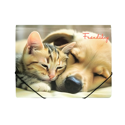 Папка на резинках "Friendship", пластик, 15 мм