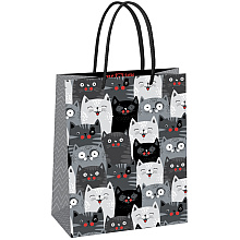 Пакет подарочный "Cat pattern",18x23x10 см, ламинированный