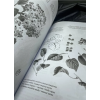 Книга "Основы японской живописи суми-э", Наталия Безвуляк - 3
