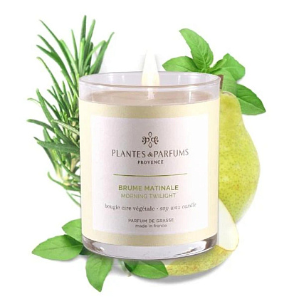 Свеча ароматическая PLANTS&PARFUMS "Morning Twilight", 180 гр.  - 2