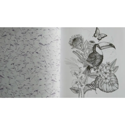 Раскраска на английском языке "Colouring Book. Beautiful Birds" - 2