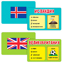 Игра настольная "Флагомания"