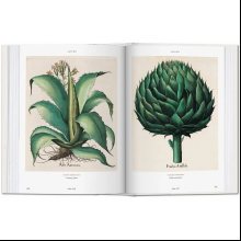 Книга на английском языке  "Florilegium. The Book of Plants. Garden at Eichstatt" 