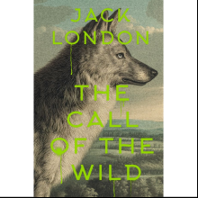 Книга на английском языке "The Call of the Wild", Джек Лондон