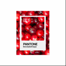 Кружка керамическая "Color of Belarus. Pantone Ikra balotnaya", 330 мл, белый
