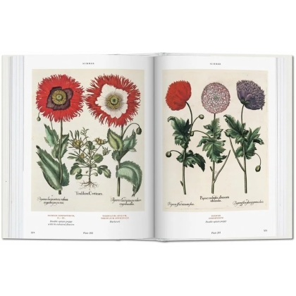 Книга на английском языке  "Florilegium. The Book of Plants. Garden at Eichstatt"  - 3