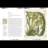 Книга на английском языке "Remarkable plants", Helen Bynum, William Bynum - 4