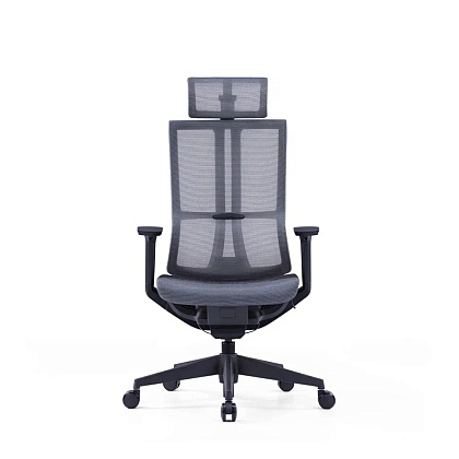 Кресло для руководителя SitZone E-303-001A-P1-BK сетка, черный - 2