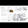 Книга на английском языке "Artists Drawing Techniques", DK - 4