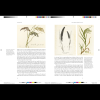 Книга на английском языке "Remarkable plants", Helen Bynum, William Bynum - 5