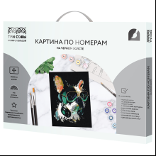 Картина по номерам "Меломан"