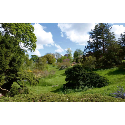 Книга на английском языке "Where the Wildness Pleases. The English Garden Celebrated", Holmes C. - 8