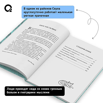 Книга "Прачечная, стирающая печали", Ким Чжи Юн - 2