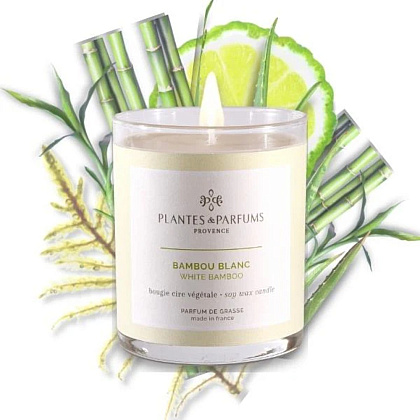 Свеча ароматическая PLANTS&PARFUMS "White Bamboo", 180 гр., подарочная упаковка - 2
