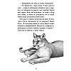Книга "Тайна Холли (#3)", Катя Брандис - 5