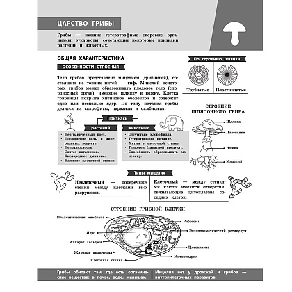 Книга "Биология в инфографике", Оксана Мазур - 7