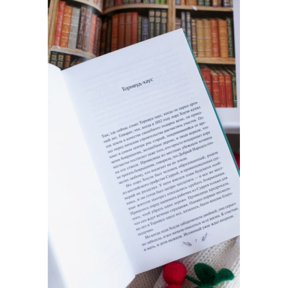 Книга "Собиратель историй", Иви Вудс - 2