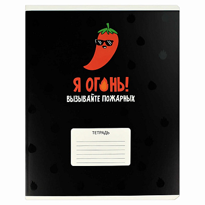 Тетрадь "Герои с характером", А5, 24 листа, клетка, УФ-лак, ассорти - 3