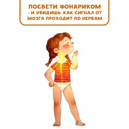 Книга "Все секреты человека", Марина Сушкова - 4
