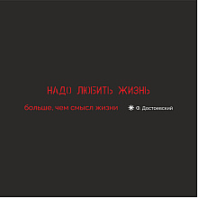 Ручка шариковая автоматическая + чехол "Надо любить жизнь. Ф. Достоевский"
