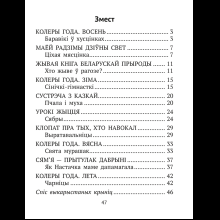 Книга "Лiтаратурнае чытанне. 2 клас. Комплексныя работы з тэкстам", Байрашэўская А. П.