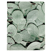 Тетрадь "Botanica эвкалипт популус", А5, 120 листов, клетка, зеленый