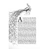 Книга на английском языке "Mansfield Park", Jane Austen - 4