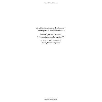 Книга на английском языке "Intermezzo", Sally Rooney - 6