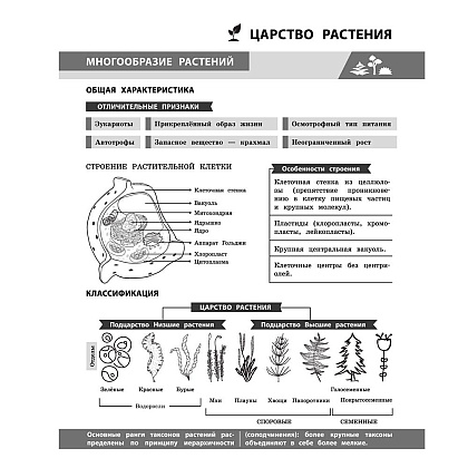 Книга "Биология в инфографике", Оксана Мазур - 10