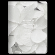 Тетрадь "Botanica гортензия", A5, 48 листов, клетка, разноцветный