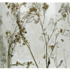 Подсвечник "Dried Flowers", стекло, золотой, прозрачный - 2