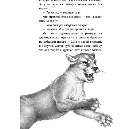 Книга "День огня (#6)", Катя Брандис - 5