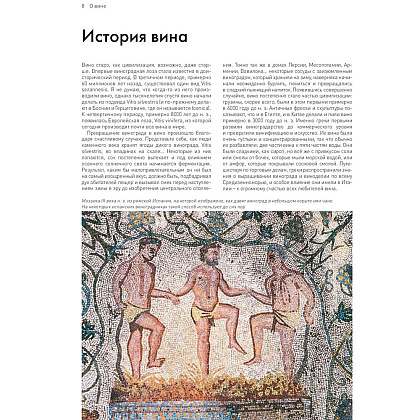 Книга "Мир вина. Вина, сорта, виноградники", Кларк Оз - 7