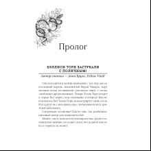 Книга "Принцесса Торн", Л. Дж. Шэн