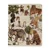 Тетрадь "Fauna", A5, 48 листов, клетка, скоба сбоку, ассорти - 5