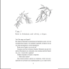 Книга "Запрет на браки в Чосоне. Том 2", Чжихе Чхон - 4