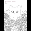 Книга "Kawaii! Рисуем маркерами: Более 20 милых образов!", бело-розовая, Солена Кунц - 6