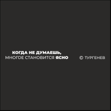 Ручка шариковая автоматическая "Когда не думаешь, многое становится ясно. Тургенев" 1.0 мм, черный, стерж. синий