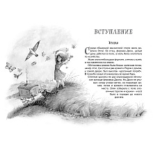 Книга "ЧЛУ. Волшебник Изумрудного города", Александр Волков