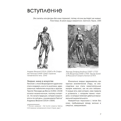 Книга "МОРФО. Анатомия для художников", Мишель Лауричелла - 2