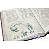 Книга "Dungeons & Dragons. Руководство мастера подземелий" - 5