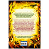 Книга "Месть пумы (#4)", Катя Брандис - 5
