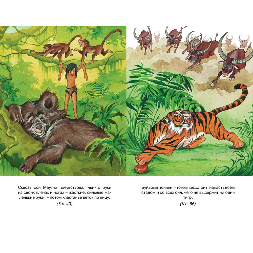 Книга "Классная литература. Маугли", Редьярд Киплинг - 6