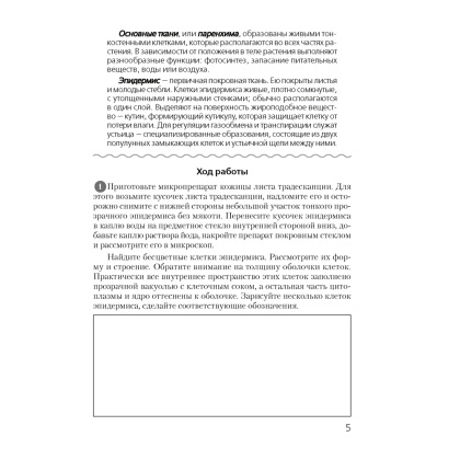 Биология. 10 класс. Тетрадь для лабораторных и практических работ (повышенный уровень), Хруцкая Т. В., Аверсэв - 4