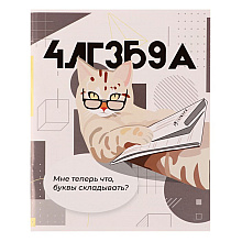 Тетрадь "Животные мемы. Алгебра", А5, 36 листов, клетка, разноцветный